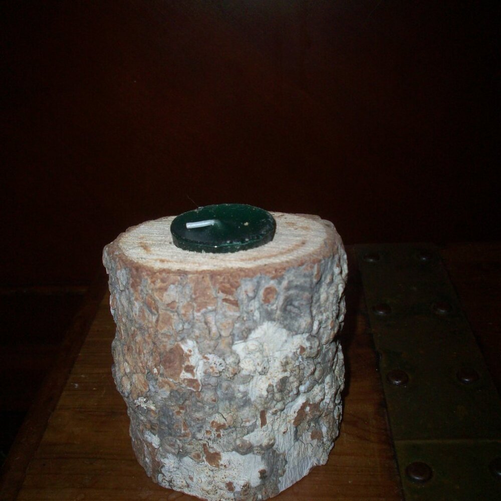 Natural Tree Stump Wooden Tea Light Holder Candlestick Rustic Cabin 4x 3 Inch